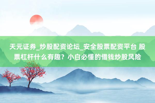 天元证券_炒股配资论坛_安全股票配资平台 股票杠杆什么有趣？小白必懂的借钱炒股风险
