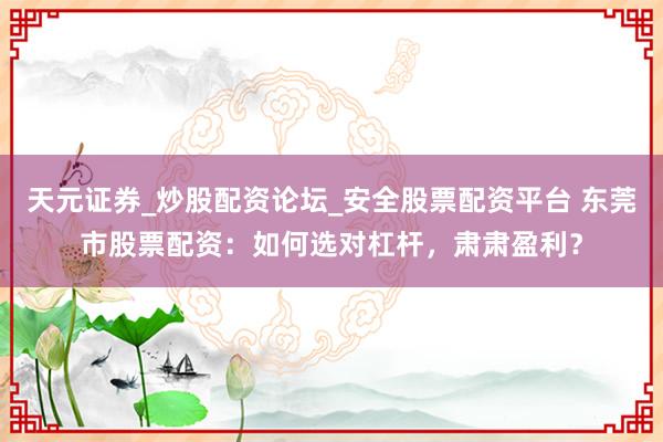 天元证券_炒股配资论坛_安全股票配资平台 东莞市股票配资：如何选对杠杆，肃肃盈利？
