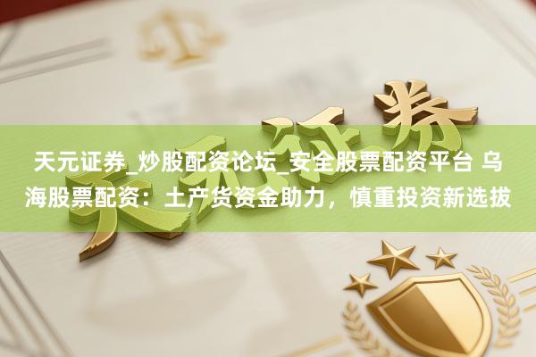 天元证券_炒股配资论坛_安全股票配资平台 乌海股票配资：土产货资金助力，慎重投资新选拔