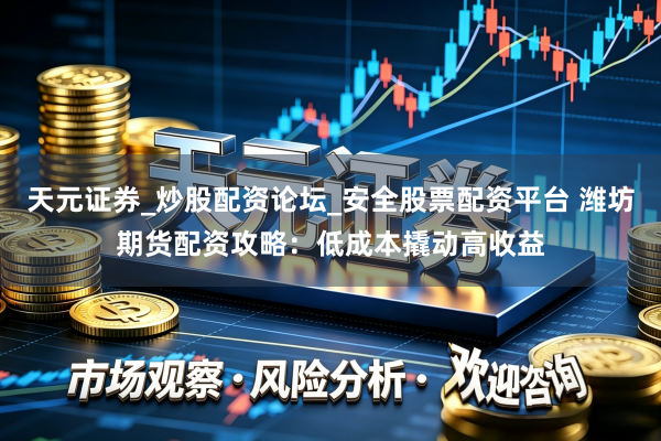 天元证券_炒股配资论坛_安全股票配资平台 潍坊期货配资攻略：低成本撬动高收益