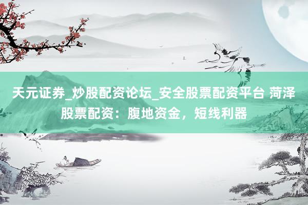 天元证券_炒股配资论坛_安全股票配资平台 菏泽股票配资：腹地资金，短线利器