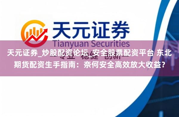 天元证券_炒股配资论坛_安全股票配资平台 东北期货配资生手指南：奈何安全高效放大收益？