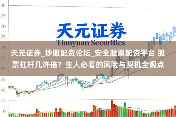 天元证券_炒股配资论坛_安全股票配资平台 股票杠杆几许倍？生人必看的风险与契机全观点