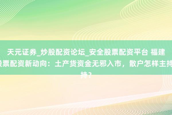 天元证券_炒股配资论坛_安全股票配资平台 福建股票配资新动向：土产货资金无邪入市，散户怎样主持？