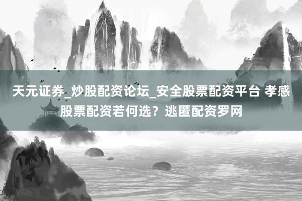 天元证券_炒股配资论坛_安全股票配资平台 孝感股票配资若何选？逃匿配资罗网