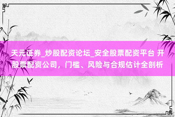 天元证券_炒股配资论坛_安全股票配资平台 开股票配资公司，门槛、风险与合规估计全剖析