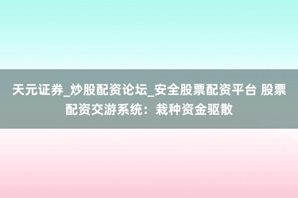 天元证券_炒股配资论坛_安全股票配资平台 股票配资交游系统：栽种资金驱散