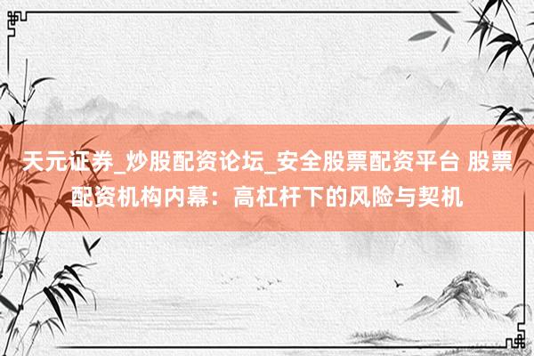 天元证券_炒股配资论坛_安全股票配资平台 股票配资机构内幕：高杠杆下的风险与契机
