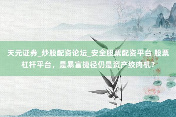 天元证券_炒股配资论坛_安全股票配资平台 股票杠杆平台，是暴富捷径仍是资产绞肉机？