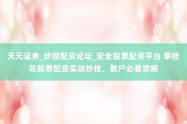 天元证券_炒股配资论坛_安全股票配资平台 攀枝花股票配资实战妙技，散户必看攻略