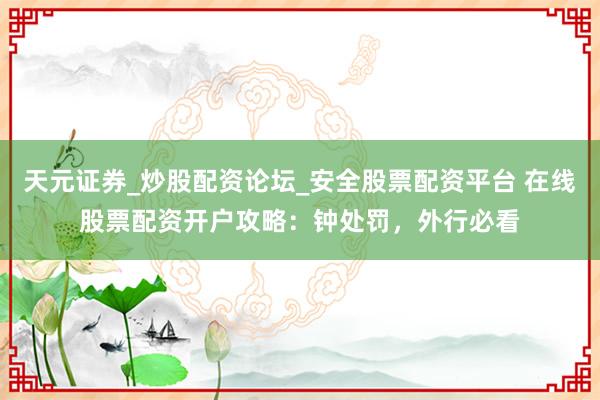 天元证券_炒股配资论坛_安全股票配资平台 在线股票配资开户攻略：钟处罚，外行必看