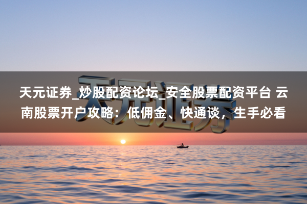 天元证券_炒股配资论坛_安全股票配资平台 云南股票开户攻略：低佣金、快通谈，生手必看