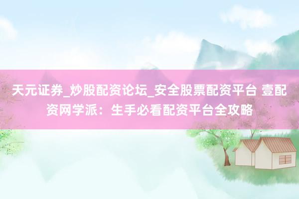 天元证券_炒股配资论坛_安全股票配资平台 壹配资网学派：生手必看配资平台全攻略