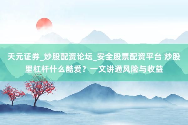 天元证券_炒股配资论坛_安全股票配资平台 炒股里杠杆什么酷爱？一文讲通风险与收益