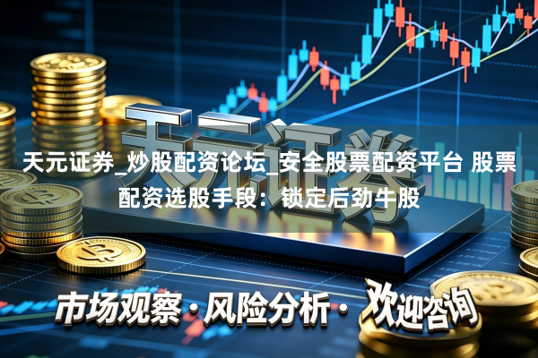 天元证券_炒股配资论坛_安全股票配资平台 股票配资选股手段：锁定后劲牛股