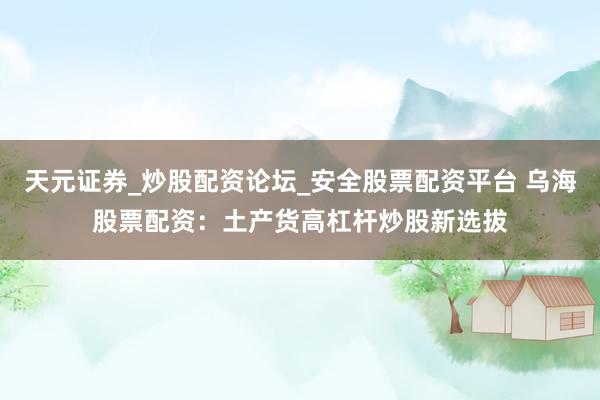 天元证券_炒股配资论坛_安全股票配资平台 乌海股票配资：土产货高杠杆炒股新选拔