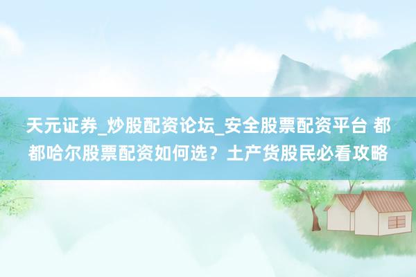 天元证券_炒股配资论坛_安全股票配资平台 都都哈尔股票配资如何选？土产货股民必看攻略