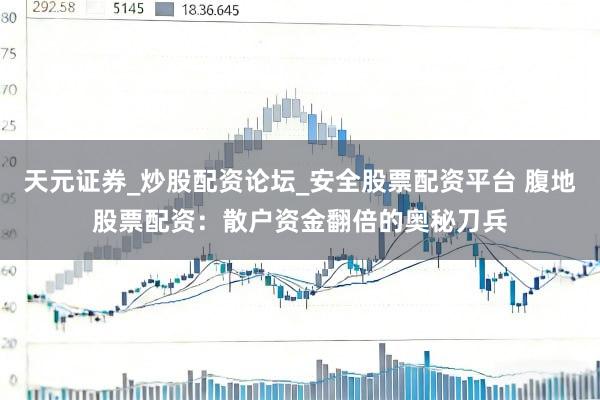 天元证券_炒股配资论坛_安全股票配资平台 腹地股票配资：散户资金翻倍的奥秘刀兵