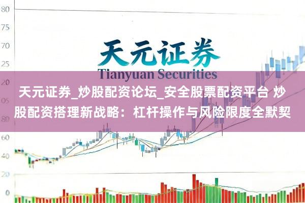 天元证券_炒股配资论坛_安全股票配资平台 炒股配资搭理新战略：杠杆操作与风险限度全默契