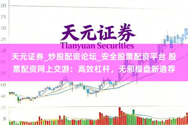 天元证券_炒股配资论坛_安全股票配资平台 股票配资网上交游:高效杠杆,无邪操盘新遴荐