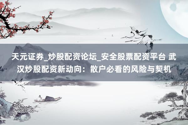 天元证券_炒股配资论坛_安全股票配资平台 武汉炒股配资新动向：散户必看的风险与契机