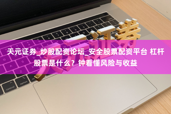 天元证券_炒股配资论坛_安全股票配资平台 杠杆股票是什么？钟看懂风险与收益