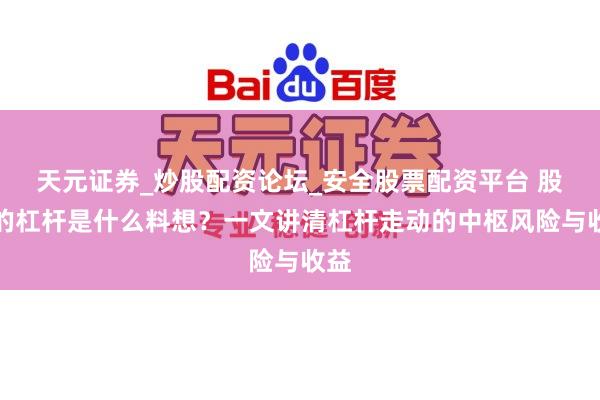 天元证券_炒股配资论坛_安全股票配资平台 股票的杠杆是什么料想？一文讲清杠杆走动的中枢风险与收益