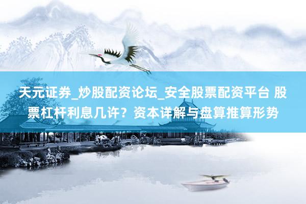 天元证券_炒股配资论坛_安全股票配资平台 股票杠杆利息几许？资本详解与盘算推算形势