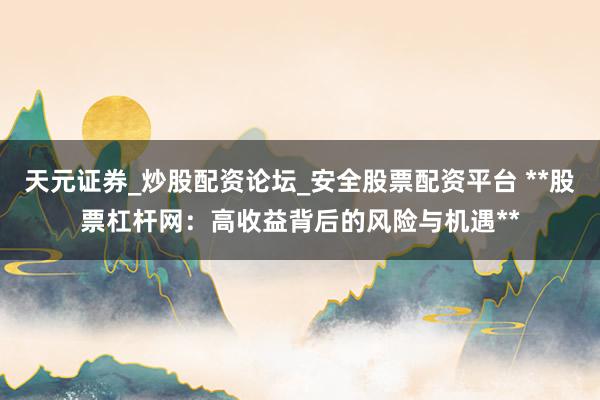天元证券_炒股配资论坛_安全股票配资平台 **股票杠杆网：高收益背后的风险与机遇**