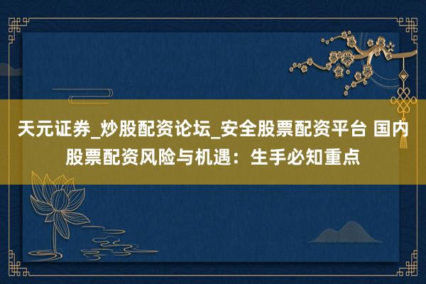 天元证券_炒股配资论坛_安全股票配资平台 国内股票配资风险与机遇：生手必知重点